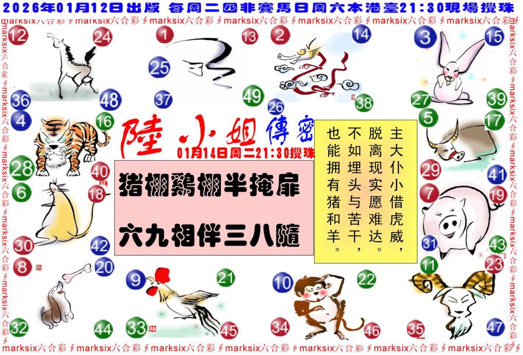 005期陆小姐传密B[图]