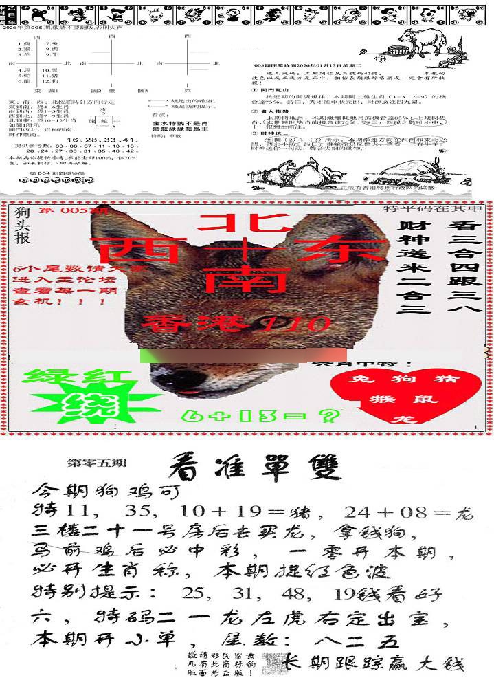 005期特码内幕B[图]