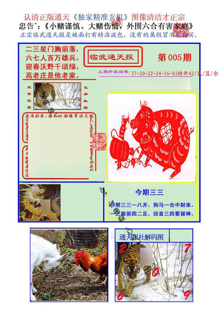 005期临武通天报[图]