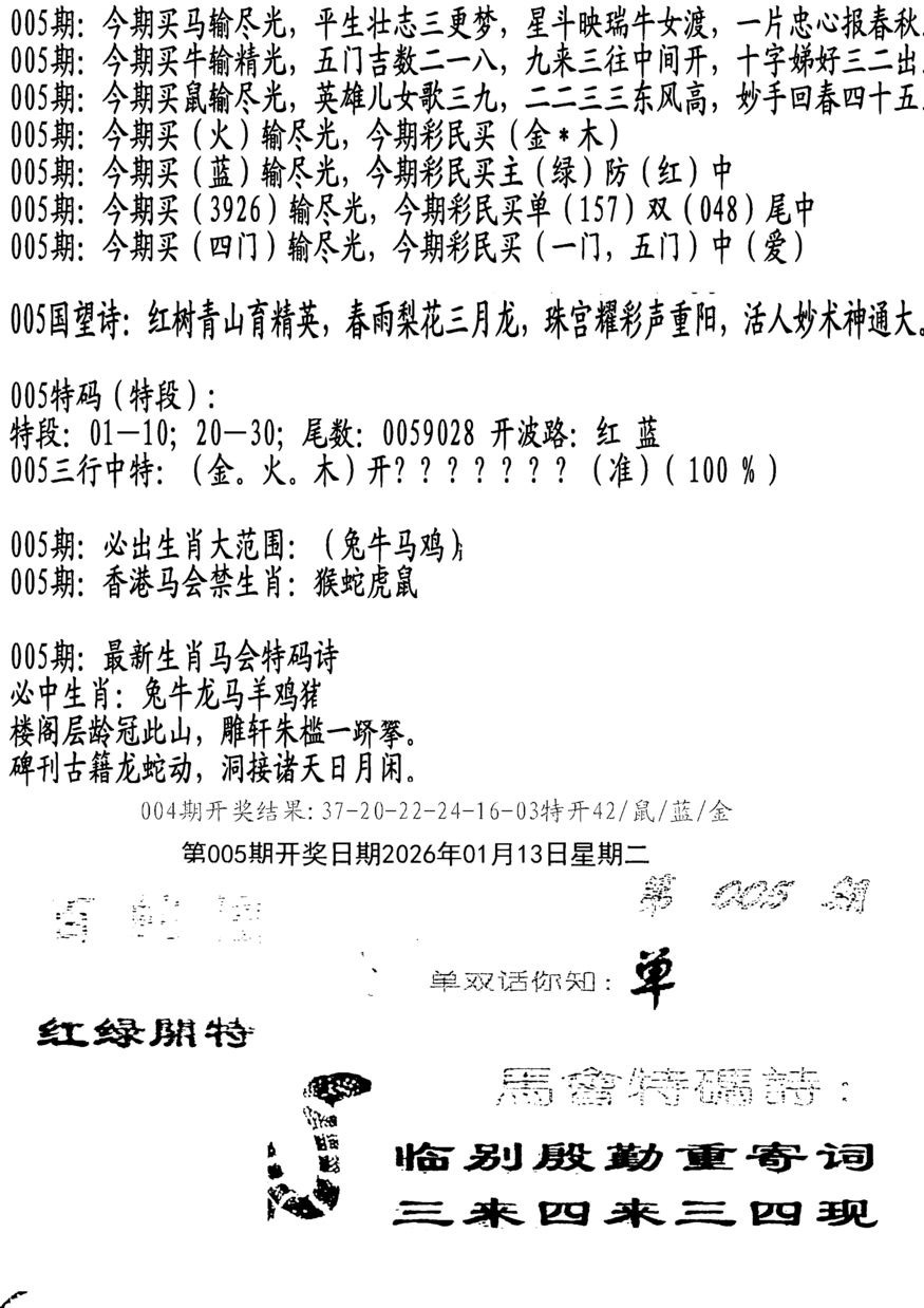 005期蛇报B[图]
