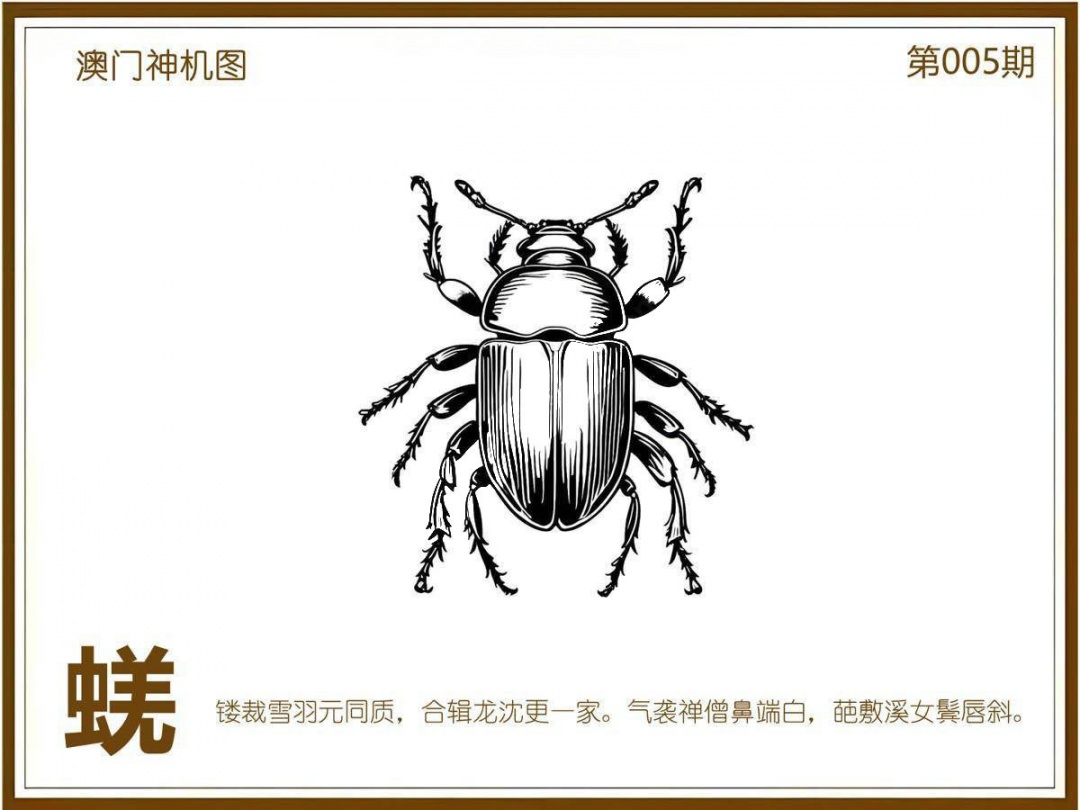 005期澳门神机图[图]